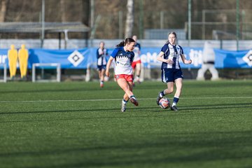 Bild 299 - wBJ Hamburger SV - Hertha BSC : Ergebnis: 2:1